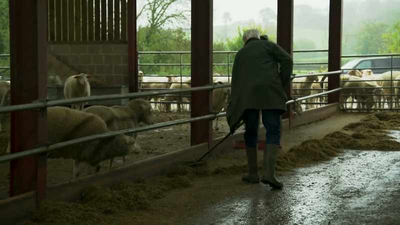 But before that, Farmer Tom needs to clean up