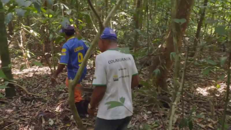 BUT THAT PRESENTS ECOLOGIST CAROLINA LEVIS