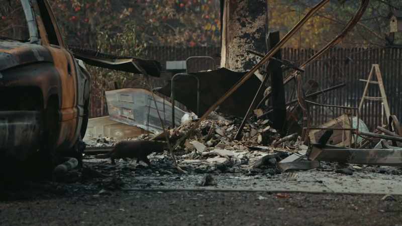But after that when these homes are no longer insurable