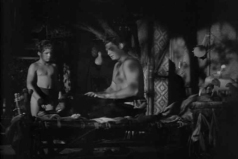 But that's my bed. - Boy's bed, Cheeta's bed, Tarzan's bed