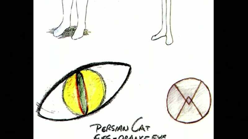 But the abductee compared both of their eyes