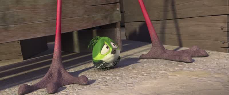 Birds versus monkeys