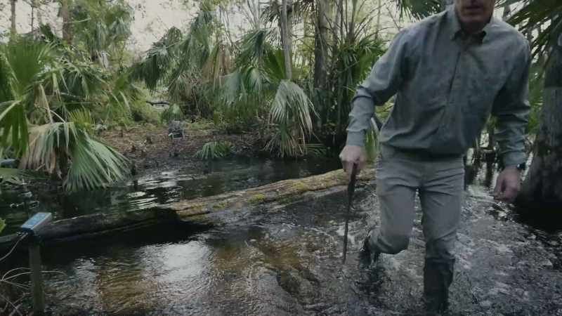 But the camera trap