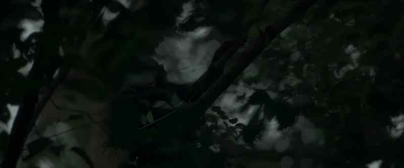 But the chimp's innate sense of time