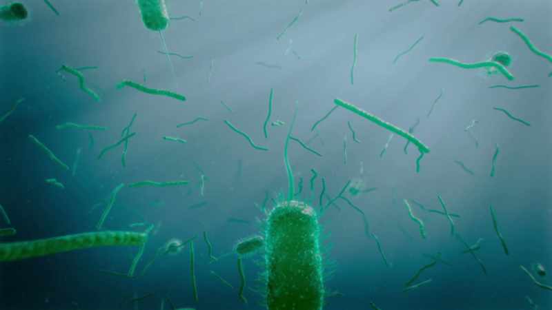 But the cyanobacteria shared the planet with other beings