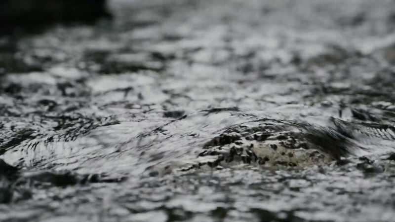 But the determination was hypothermia that killed her