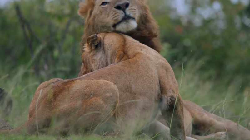 But for the majority, the huddle is their only shelter