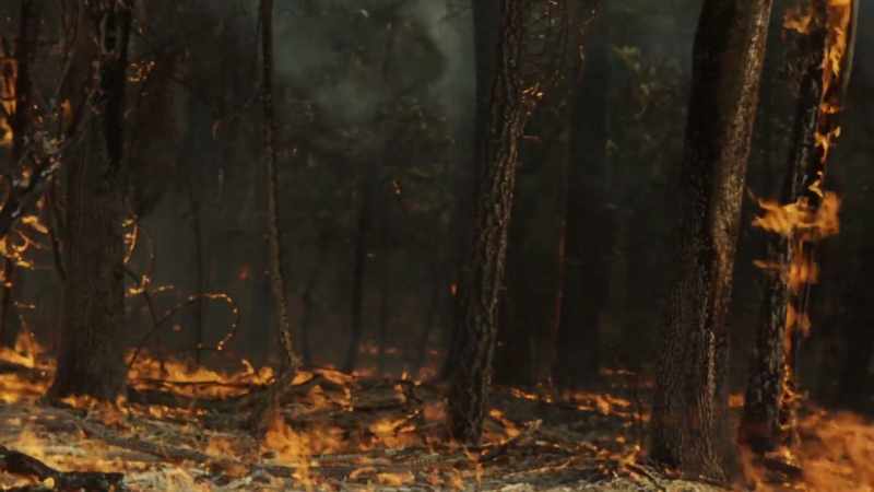 But the mass fires, the fire storms that we've seen