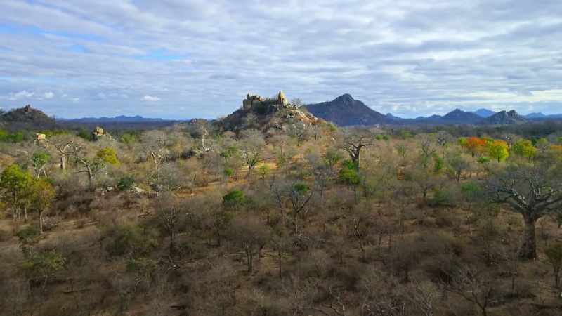 But the Miombo bounces back