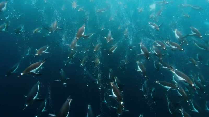 But the natural world is resilient