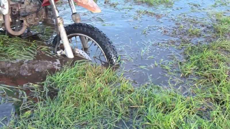 but the pond proved me wrong