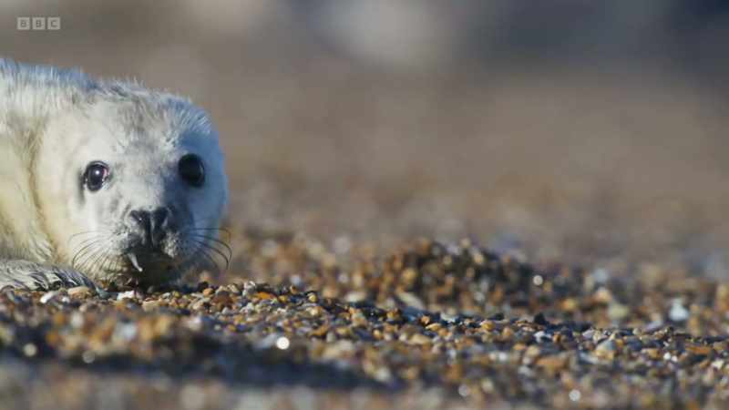But then, after a few days, the youngsters start to explore