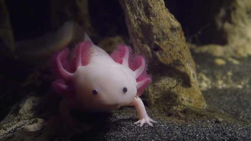 But then he becomes one and realizes that they don't move