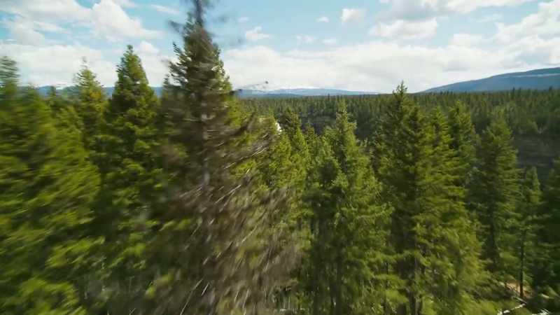 But there is another extraordinary green world
