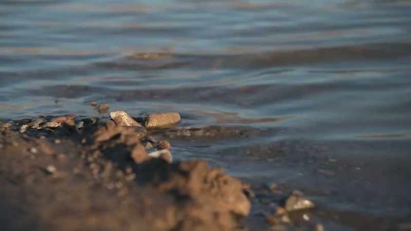 But there were other bodies being found