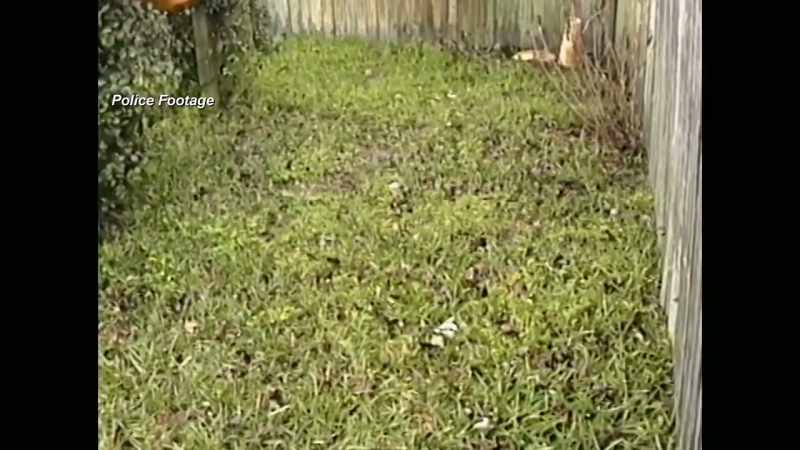 BUT THERE WAS ABSOLUTELY NOTHING IN THAT BACKYARD