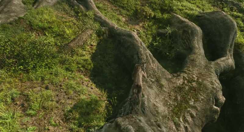 But there's no one here, Rafiki
