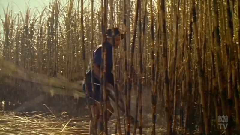 But there's something else a farmer can't live without