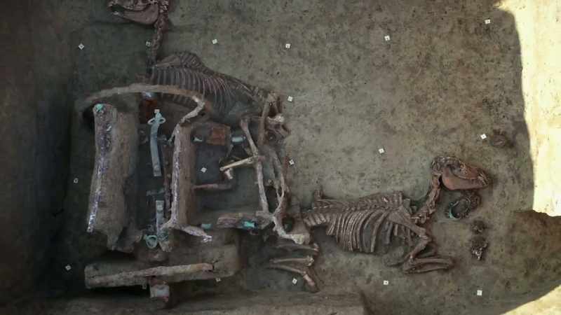 But these vehicles weren't just status symbols