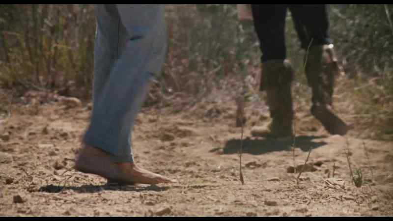 But they're getting this crop in