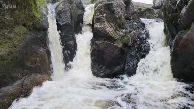 But those that have got here push on with astonishing vigour