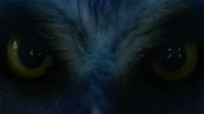 But through regression therapy, most abductees uncover the truth