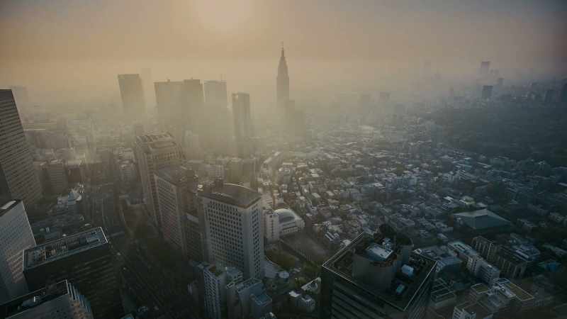 But Tokyo is a massive city
