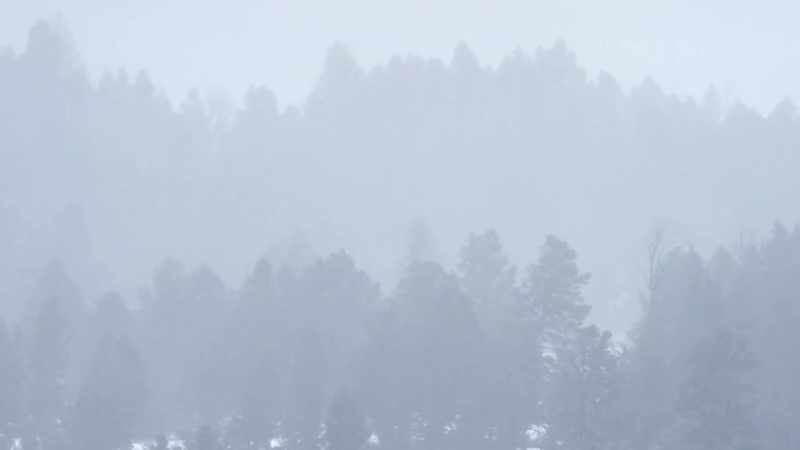 But two million winters have shaped a creature