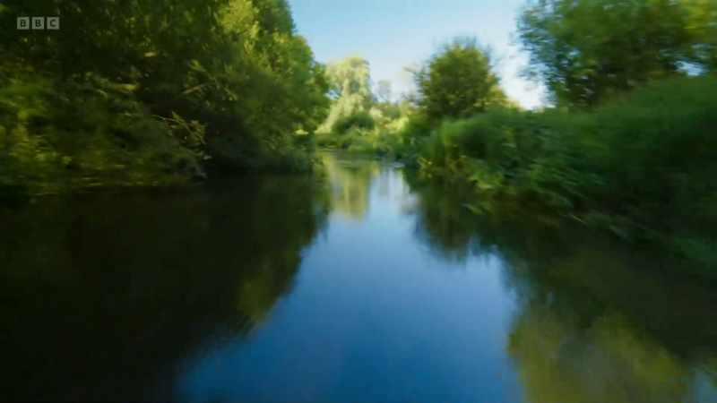 but usually get only a glimpse, a flash of electric blue