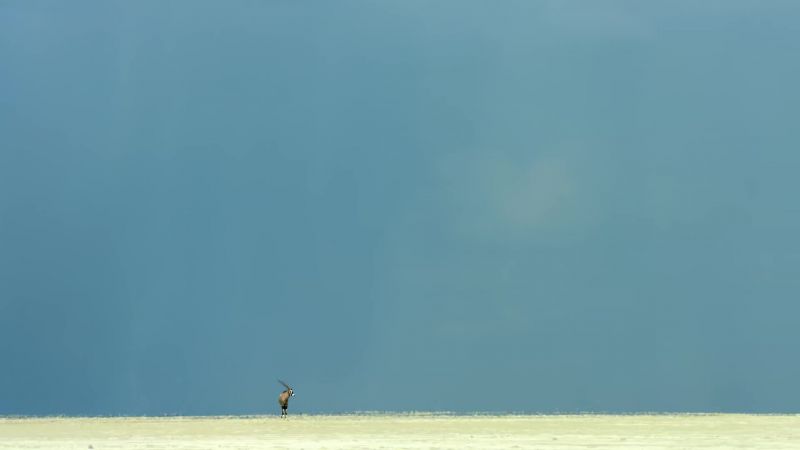 But very occasionally, this whole landscape is transformed