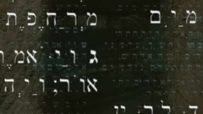 But what about the rest of the Ark code?