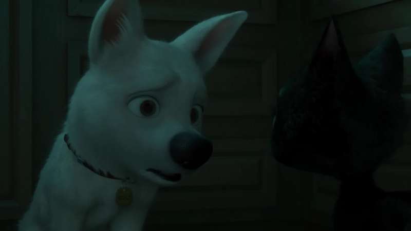 But what do dogs do