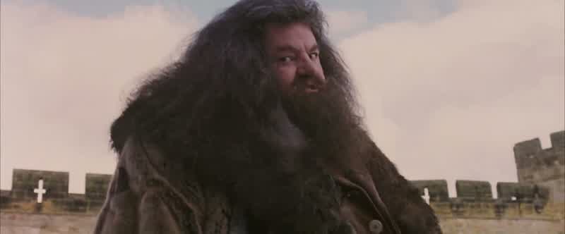But whatever Fluffy's guarding,Snape's trying to steal it