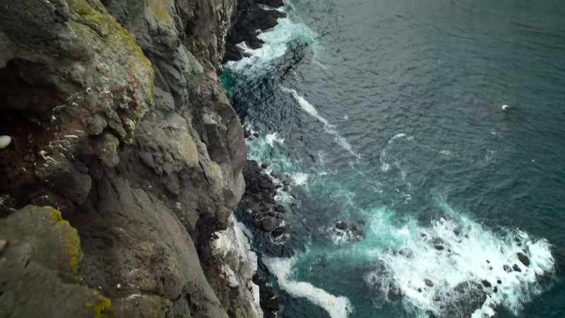 But why be born in such a dangerous place?
