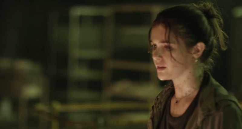 But why make huge crocodiles? And how?