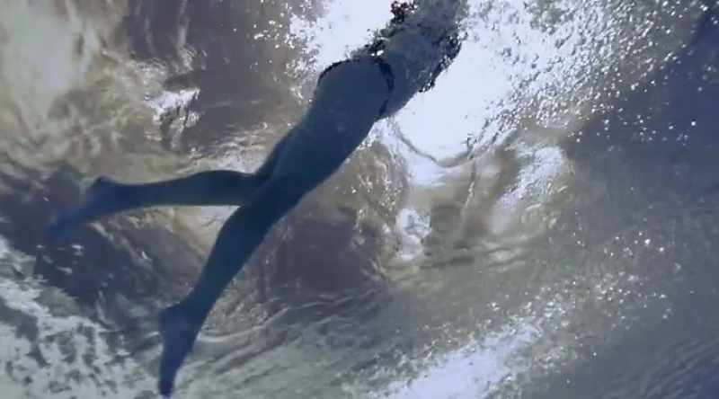 But why would any shark go rogue
