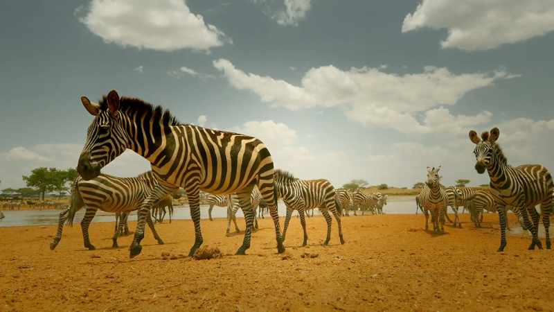 But with drought threatening her family's survival