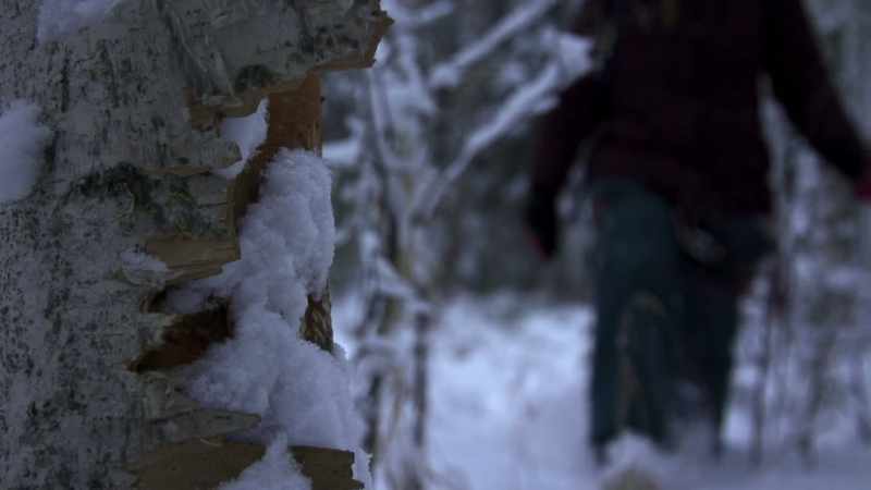 But with limited experience navigating the thin ice and