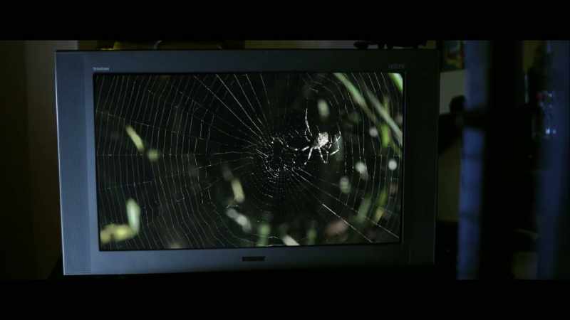 But with spiders the challenge is of a different nature
