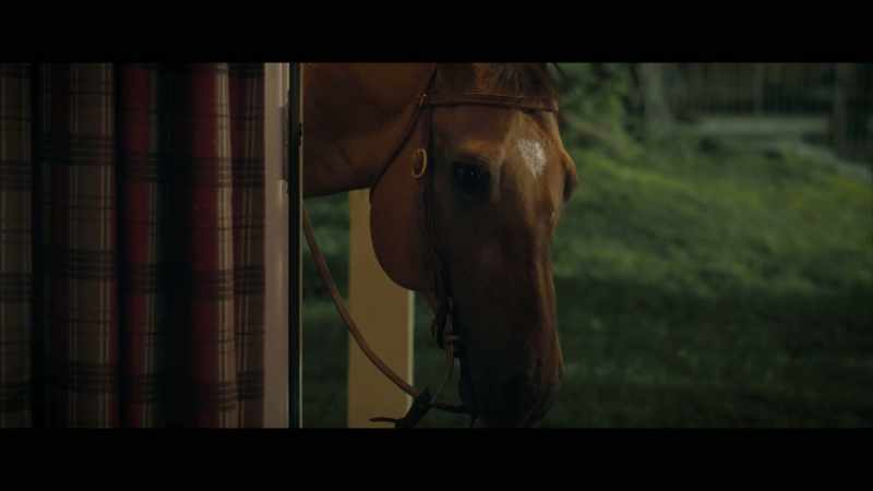Butterscotch, so happy to see you