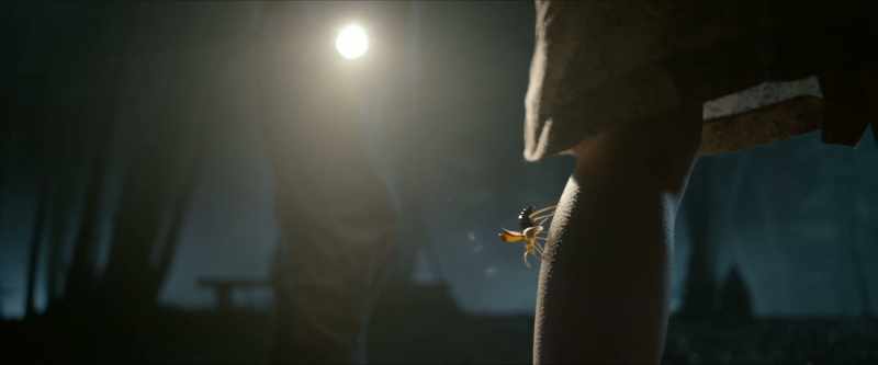 [buzzing]