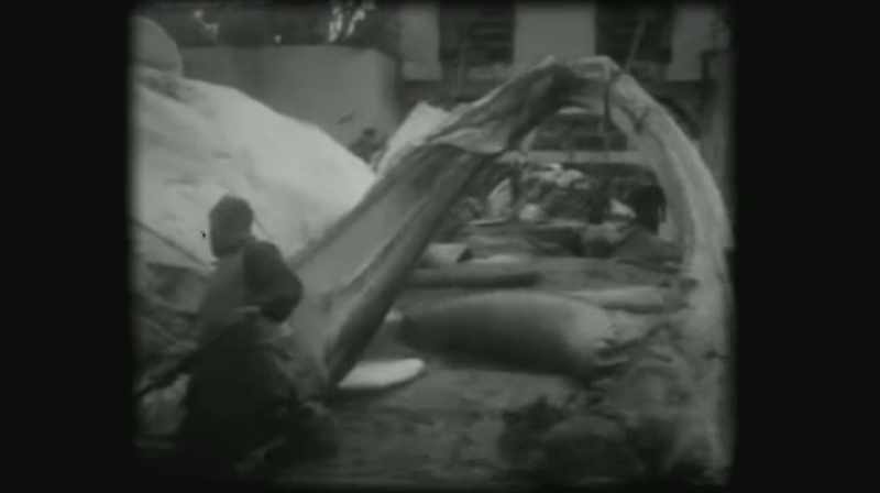By 1930, marine biologists estimated there were