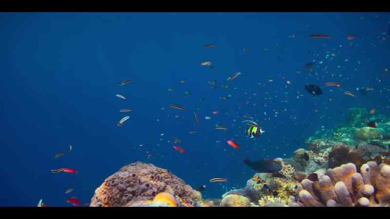 By bringing clean, oxygenated water