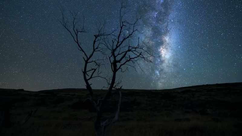 By carefully managing light pollution
