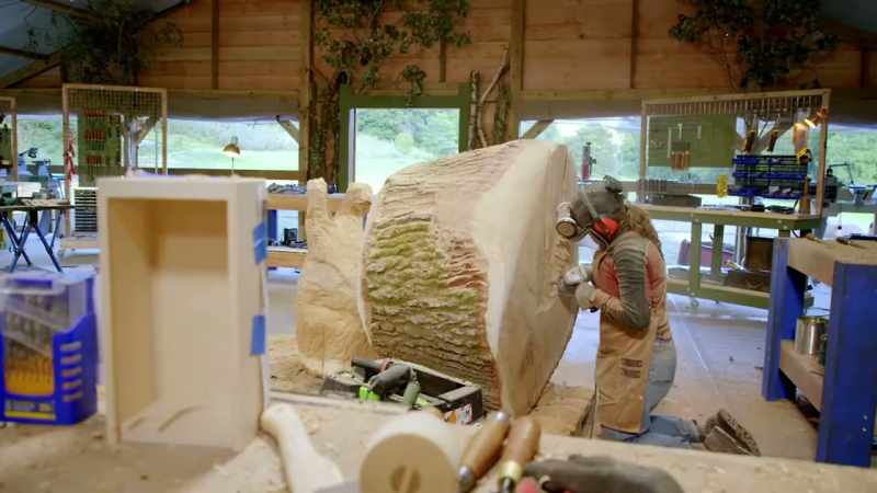 By choosing to use the shape of the log and bark for the shell