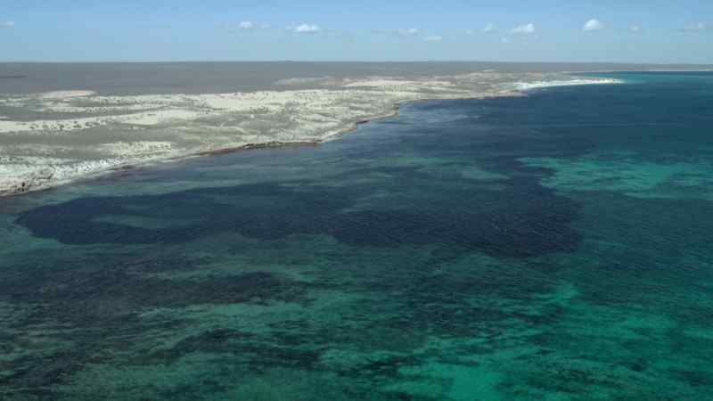 By day, the prehistoric ocean provides opportunities