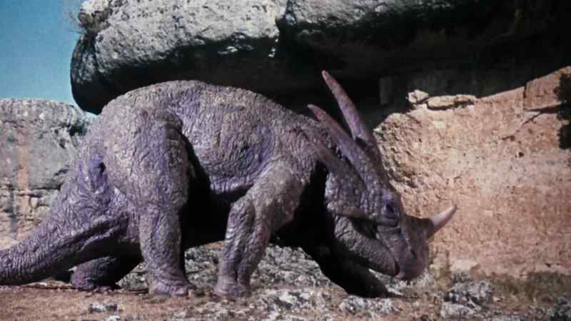 By George! A styracosaurus!