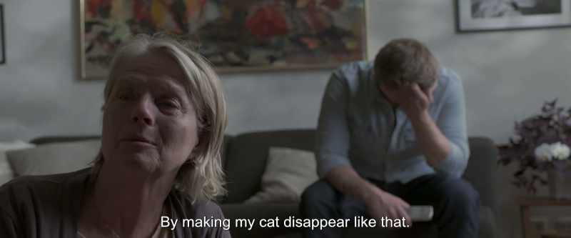 By making my cat disappear like that