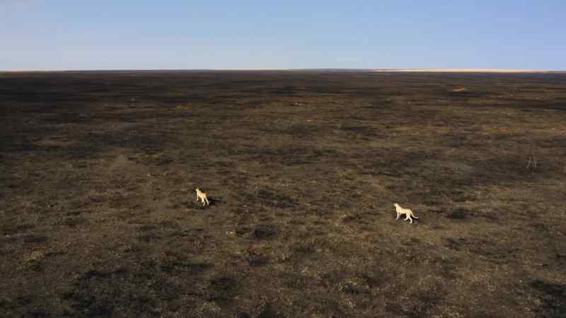 By morning, the fire's burned itself out