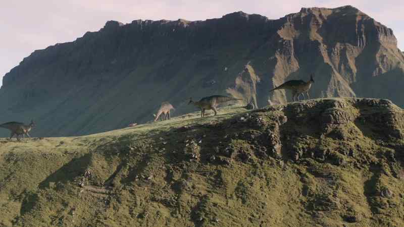 By nesting in this volcanic valley